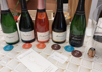 Toutes nos cuvées et leur caractère (Vif, Fruité ou Intense)