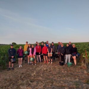 Vendanges 2026