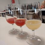 Premières dégustation des vins clairs après la fin des fermentations
